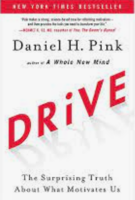 Drive, The Surprising Truth About What Motivates